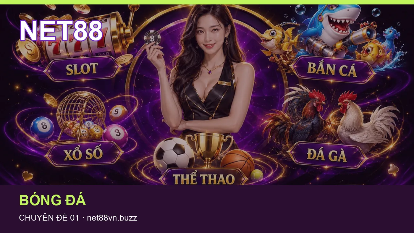 Hình minh họa bài viết NET88