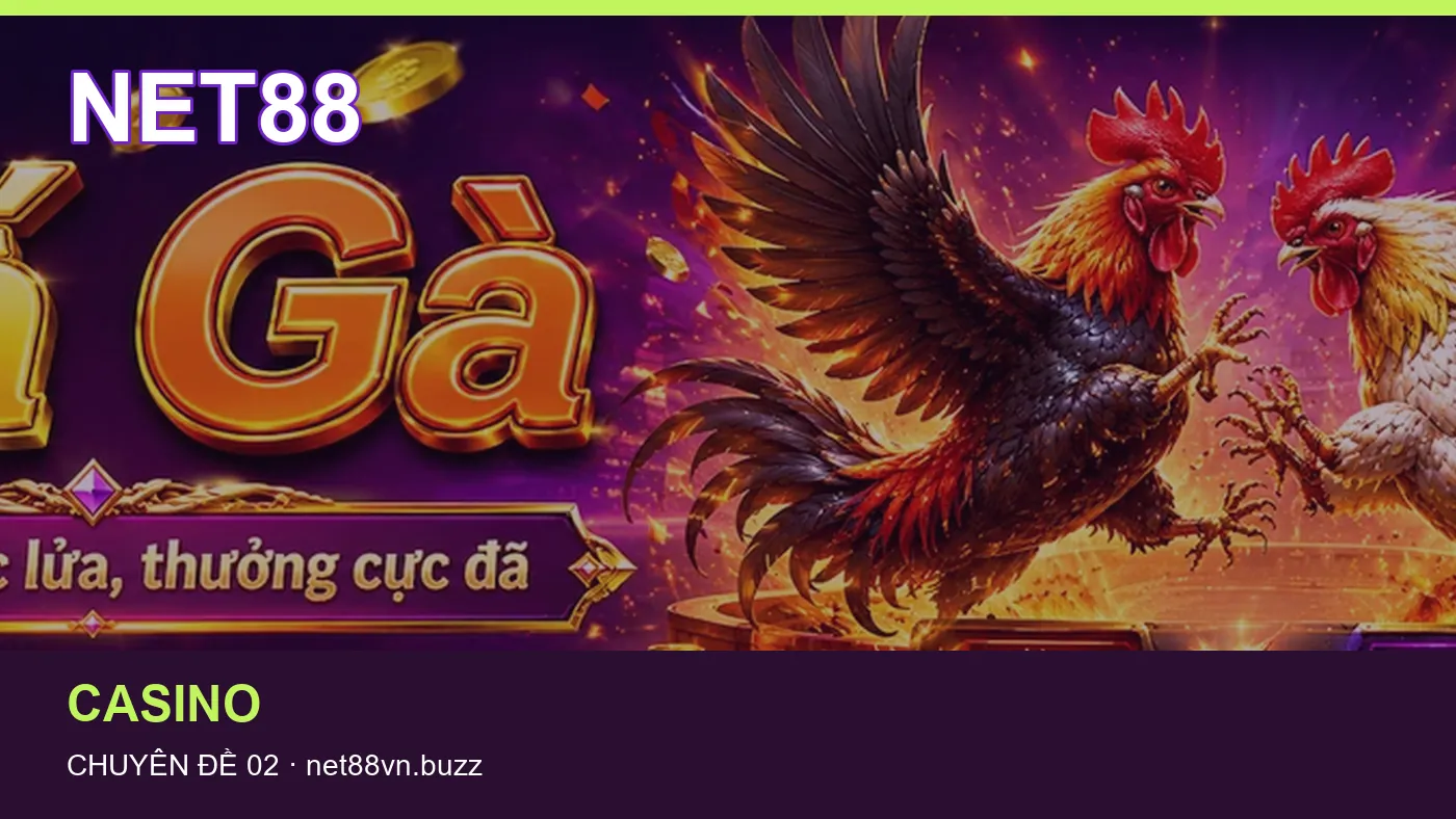 Hình minh họa bài viết NET88